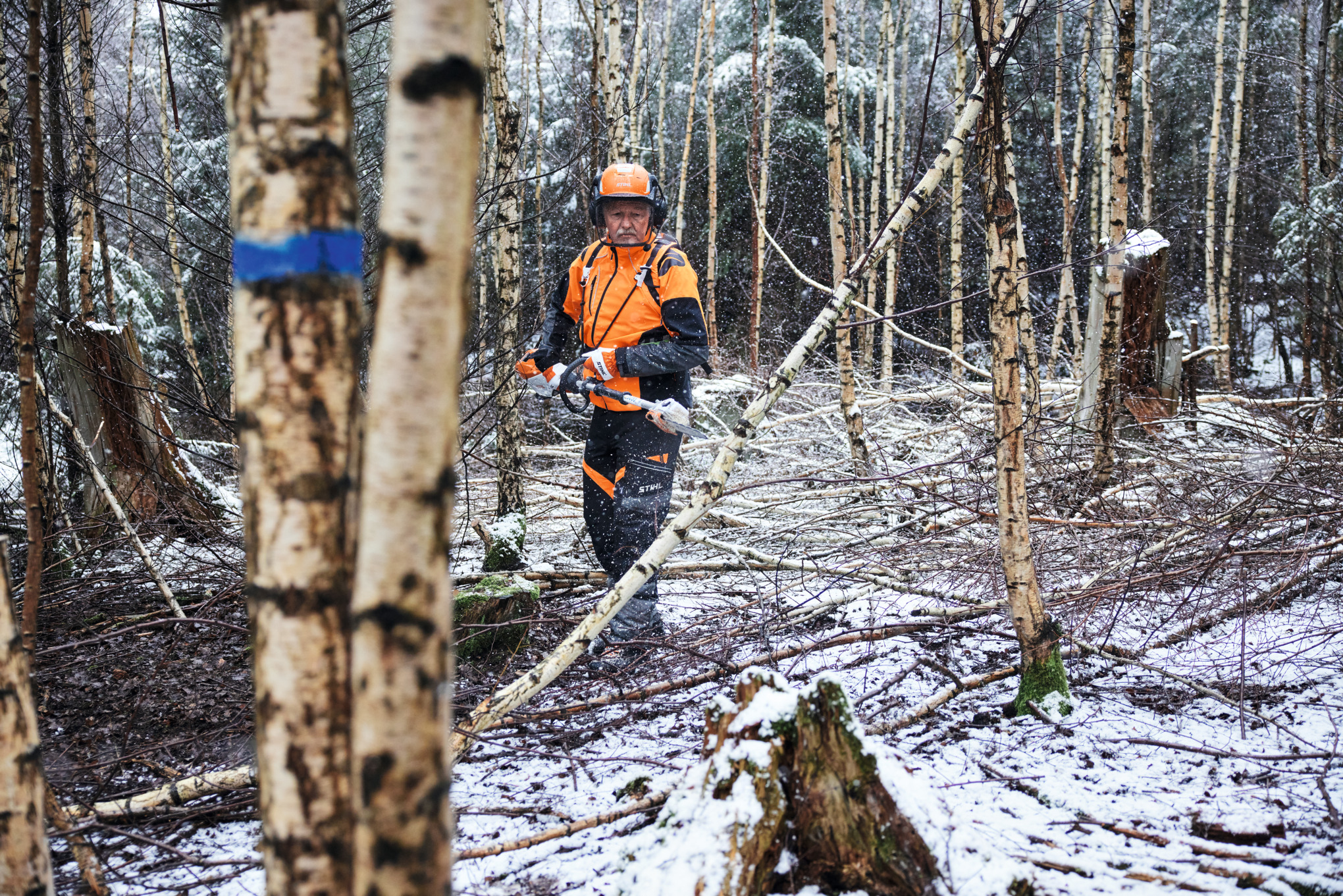 Мъж в защитно облекло отрязва бреза с акумулаторна кастрачка STIHL HTA 150