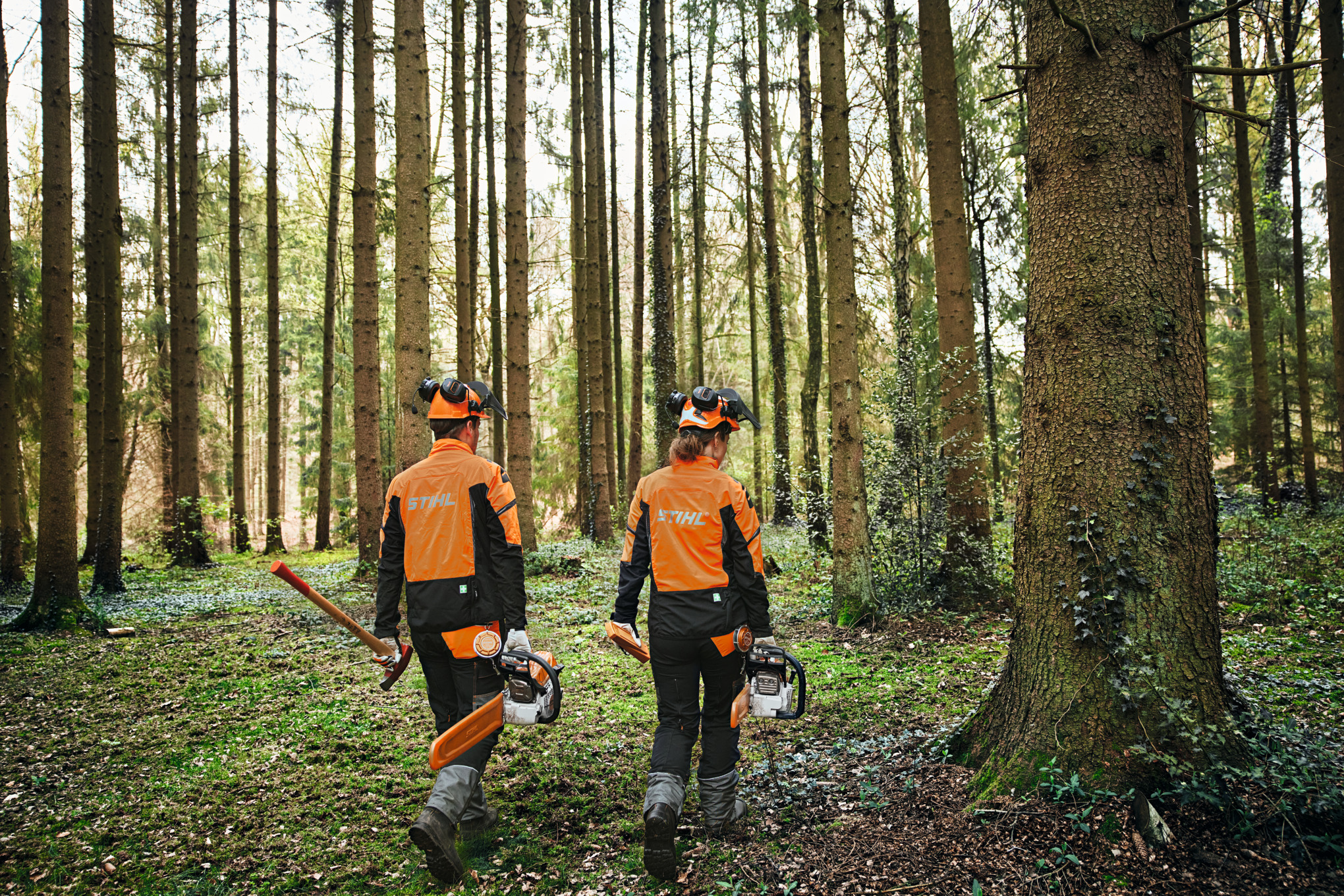 Мъж извършва кастрене с акумулаторен моторен трион STIHL MSA 190 T