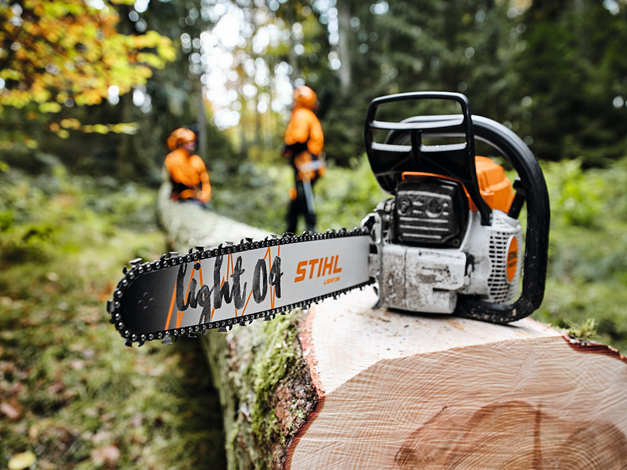Бензинов верижен трион STIHL MS 261 C-M върху пън в гората