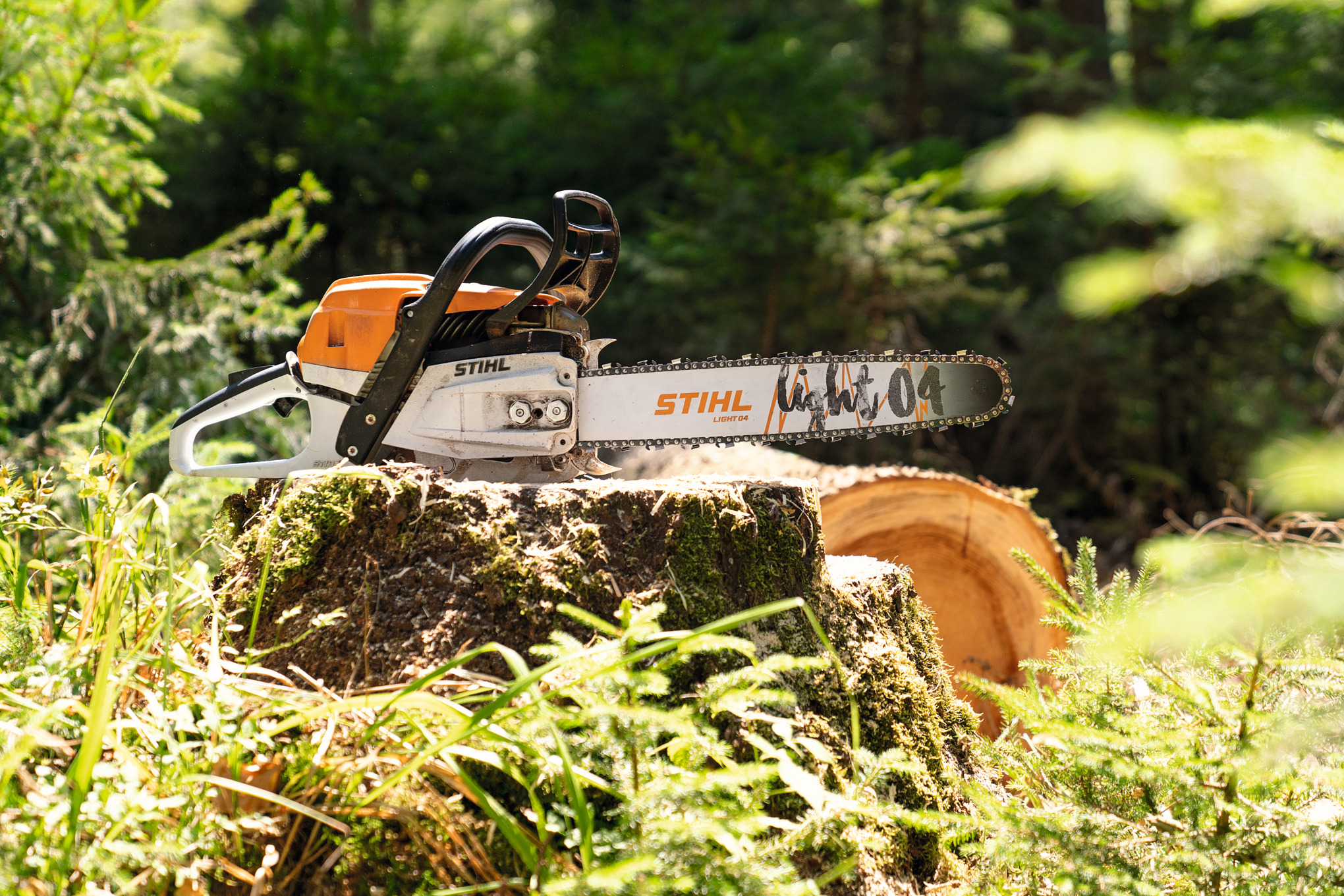 Бензинов верижен трион STIHL MS 261 C-M върху пън в гората