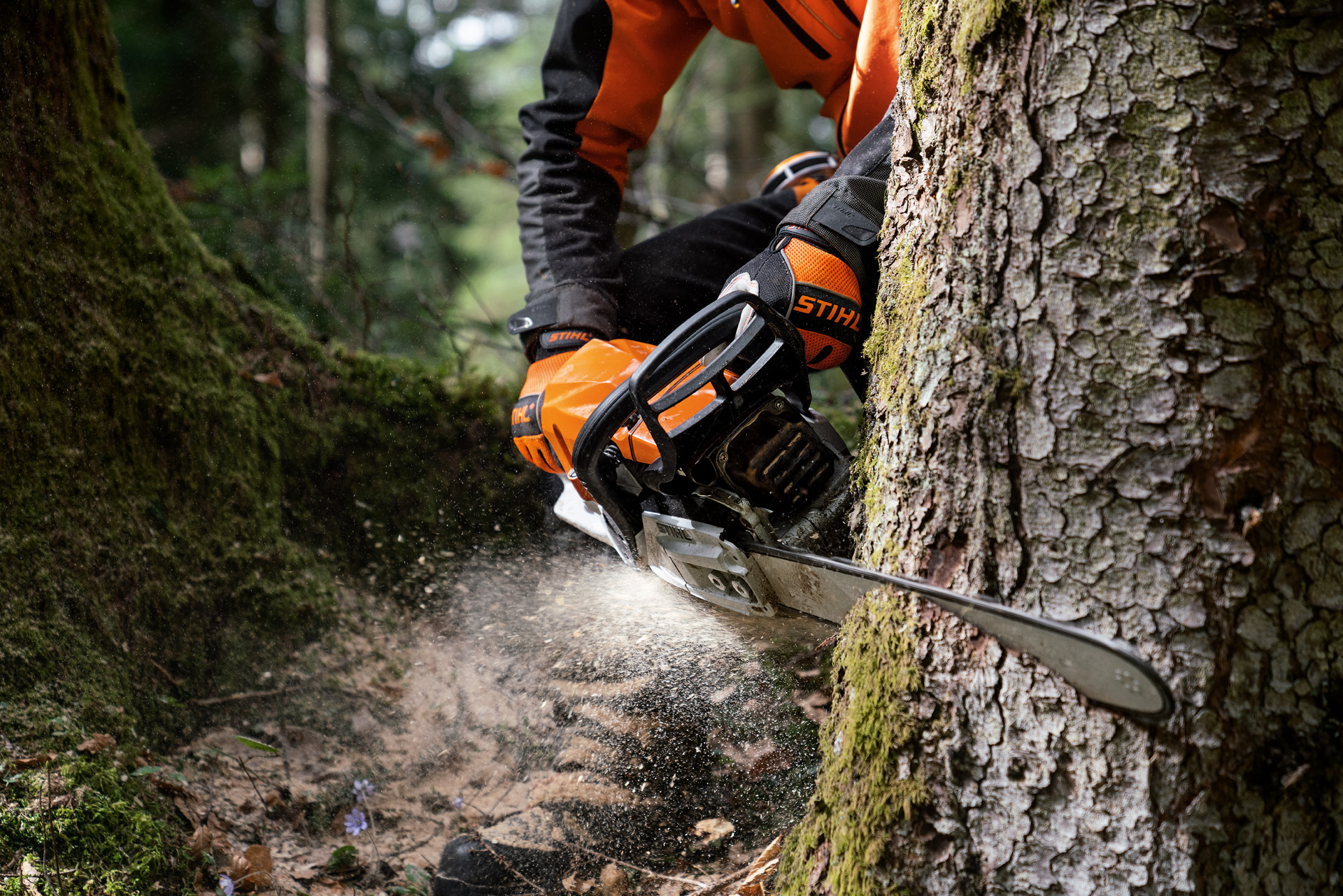 Човек в лични предпазни средства реже дърво с бензинов моторен трион STIHL MS 400 C-M с магнезиево бутало.