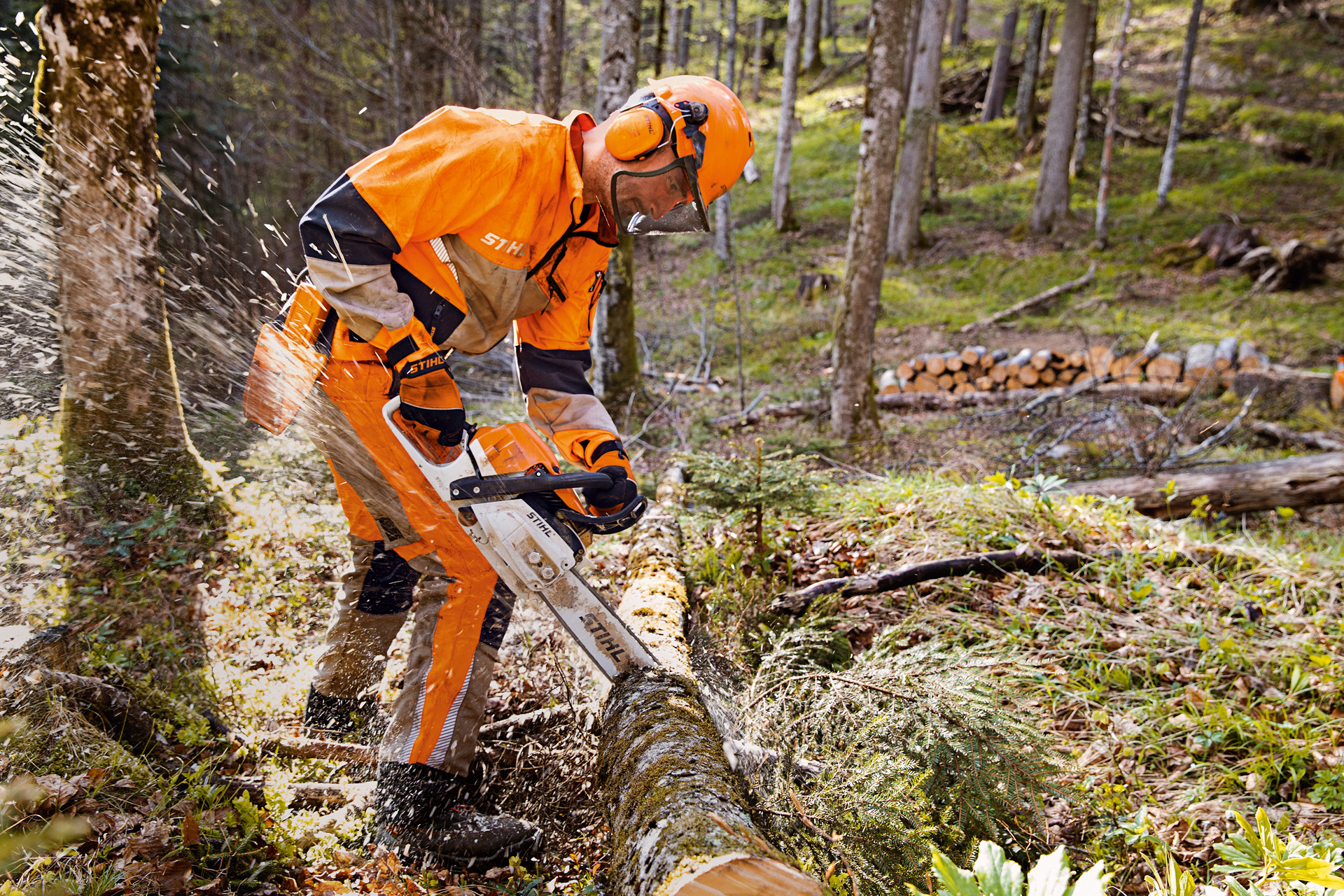 Горски работници в предпазно облекло STIHL с панталон Dynamic Vent (клас на защита от срязване 1) режат дърво в гората с моторен трион STIHL